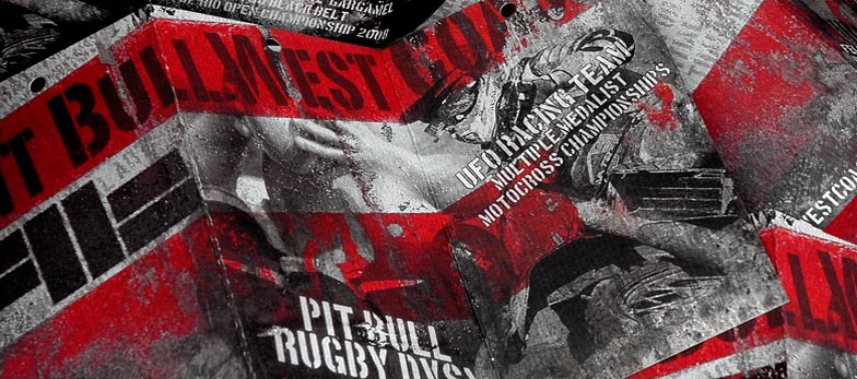 Pitbull5