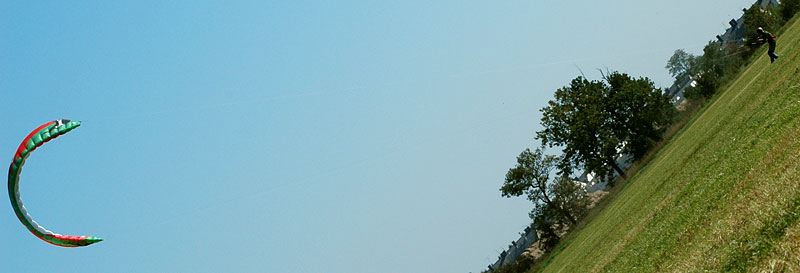 dsc_0049.jpg